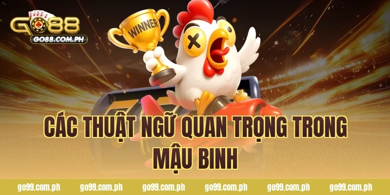 Các thuật ngữ quan trọng trong mậu binh